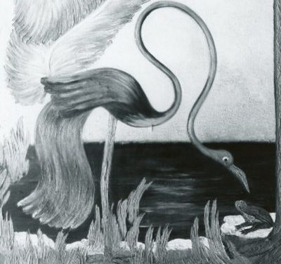 Bird and Frog