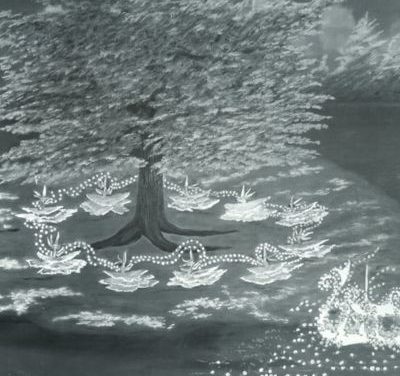 Fairy Ring